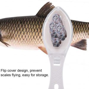 Fish scale remover – Un instrument pentru îndepărtarea solzilor de pește 03
