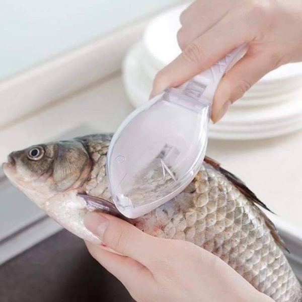 Fish scale remover – Un instrument pentru îndepărtarea solzilor de pește 03