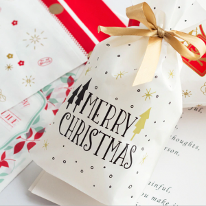 GIFT BAGS – SACI CADOU CU MODELE DIFERITE (5 BUC.) 03