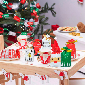 GIFT BAGS – SACI CADOU CU MODELE DIFERITE (5 BUC.) 03